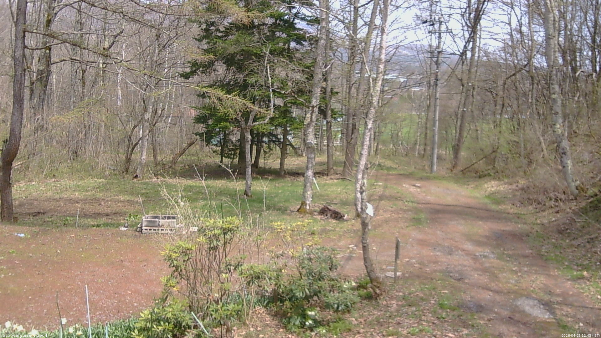 長野県菅平高原 ゆたか山荘 坂上 2026/04/28 12:45