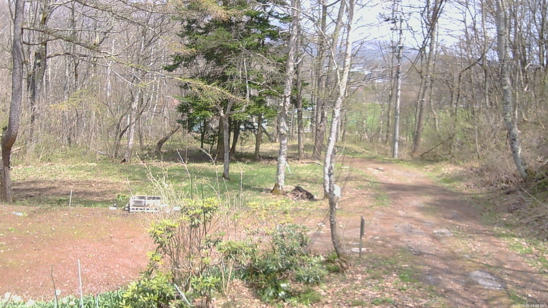 長野県菅平高原 ゆたか山荘 坂上 2026/04/28 13:00