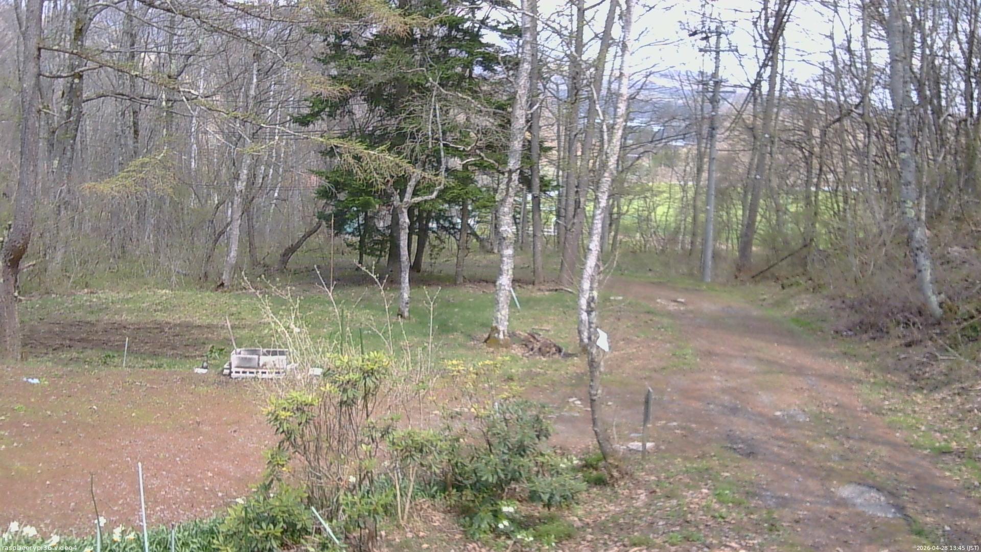 長野県菅平高原 ゆたか山荘 坂上 2026/04/28 13:45