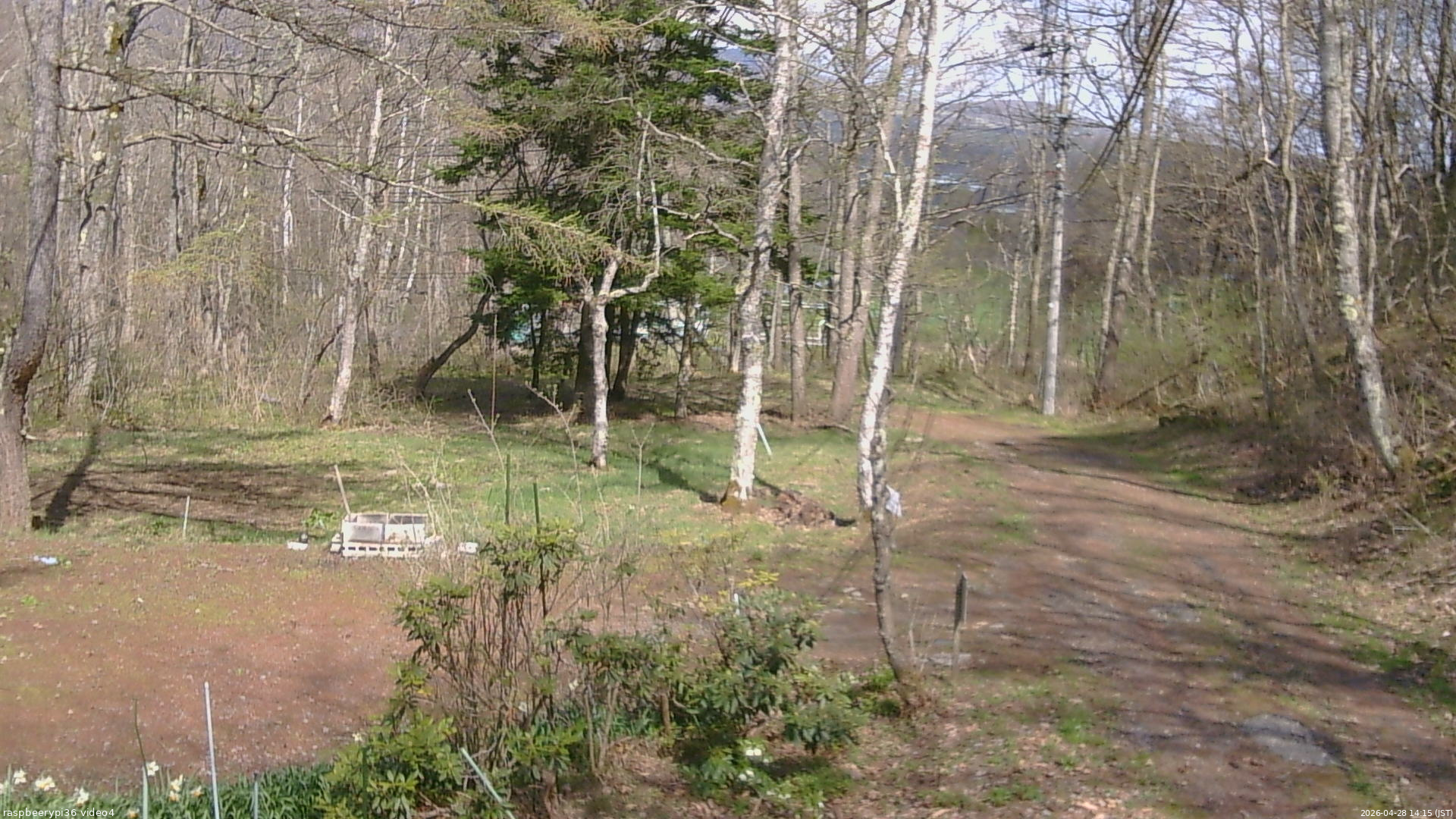 長野県菅平高原 ゆたか山荘 坂上 2026/04/28 14:15