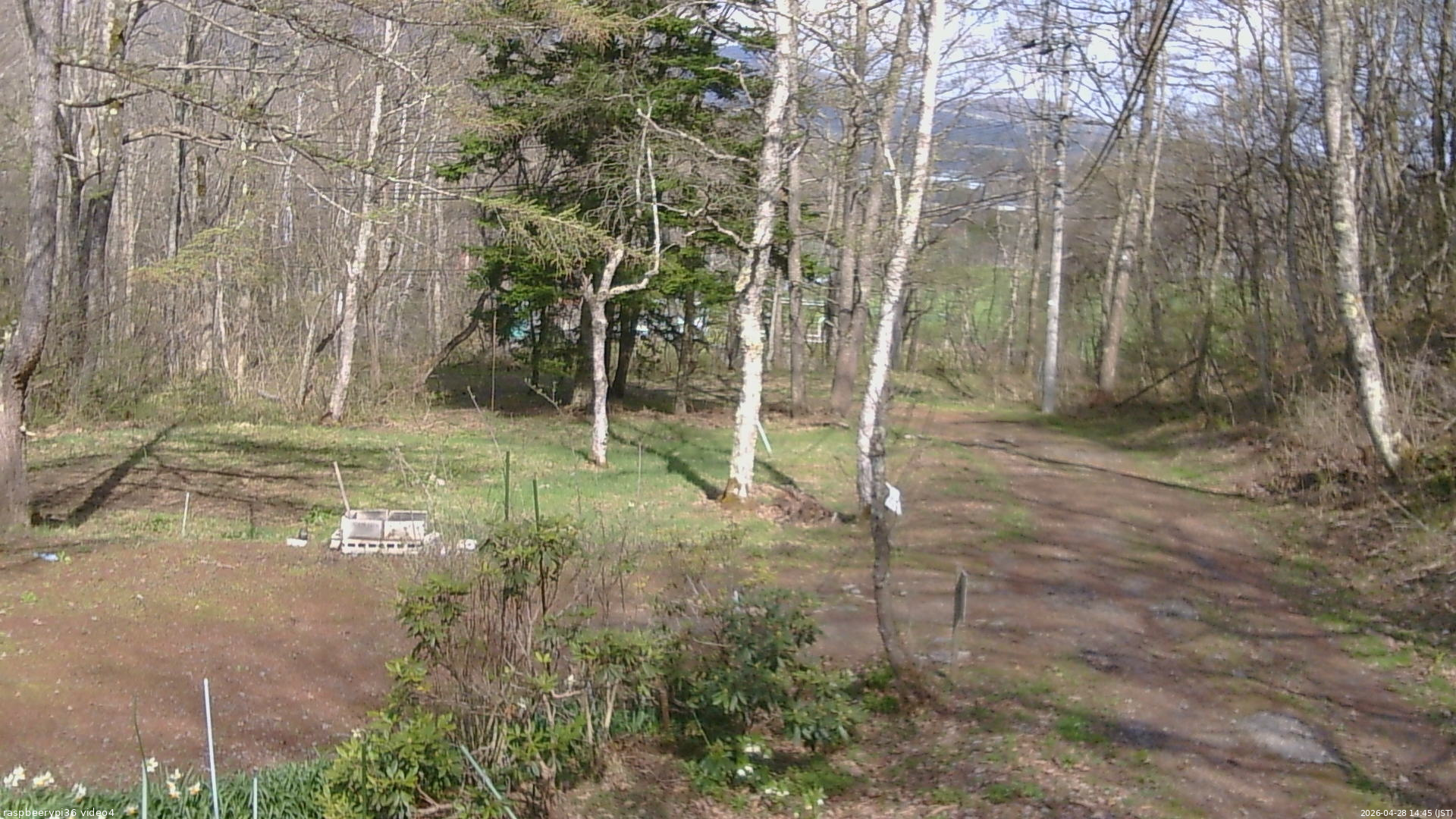 長野県菅平高原 ゆたか山荘 坂上 2026/04/28 14:45