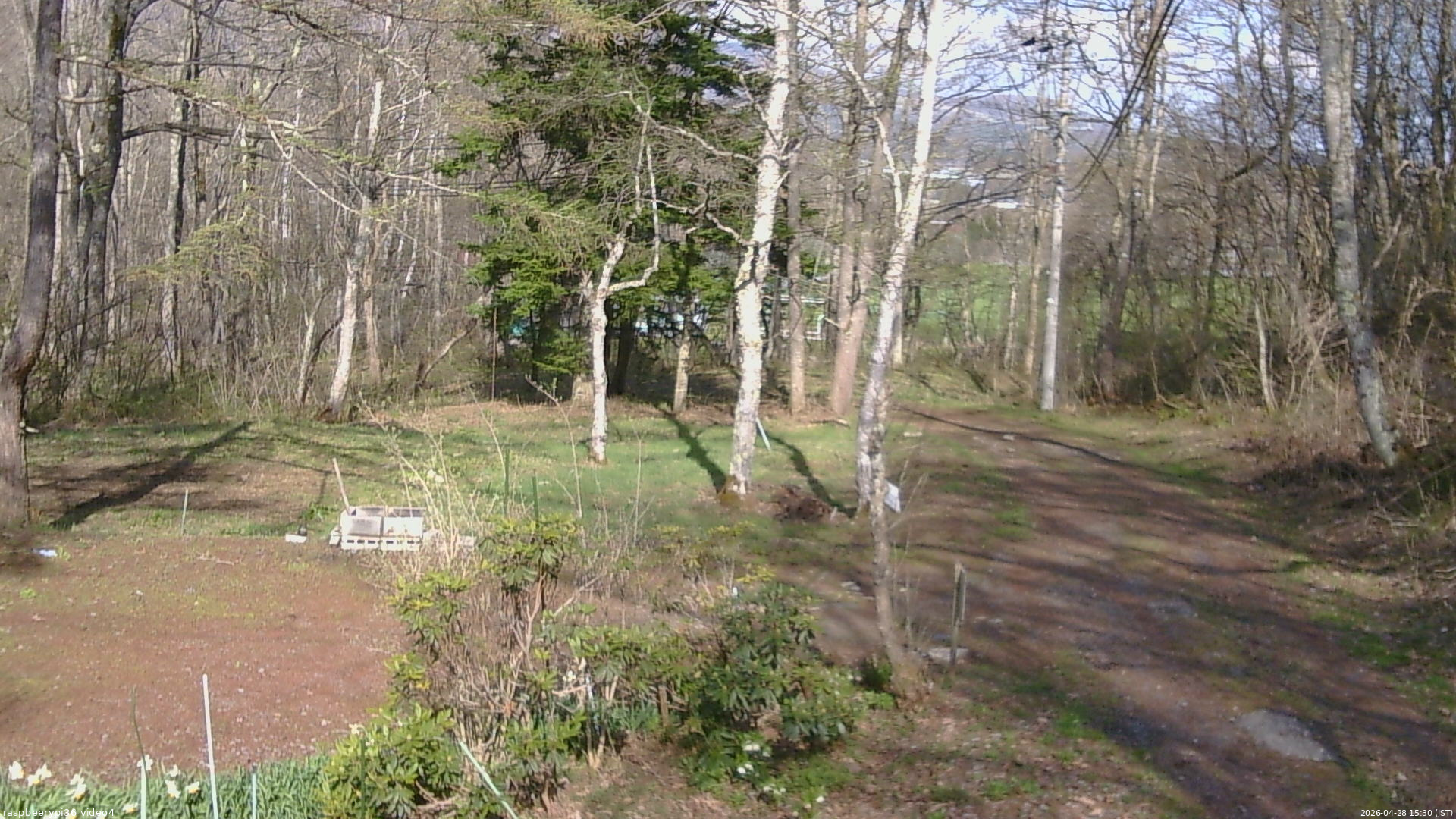 長野県菅平高原 ゆたか山荘 坂上 2026/04/28 15:30