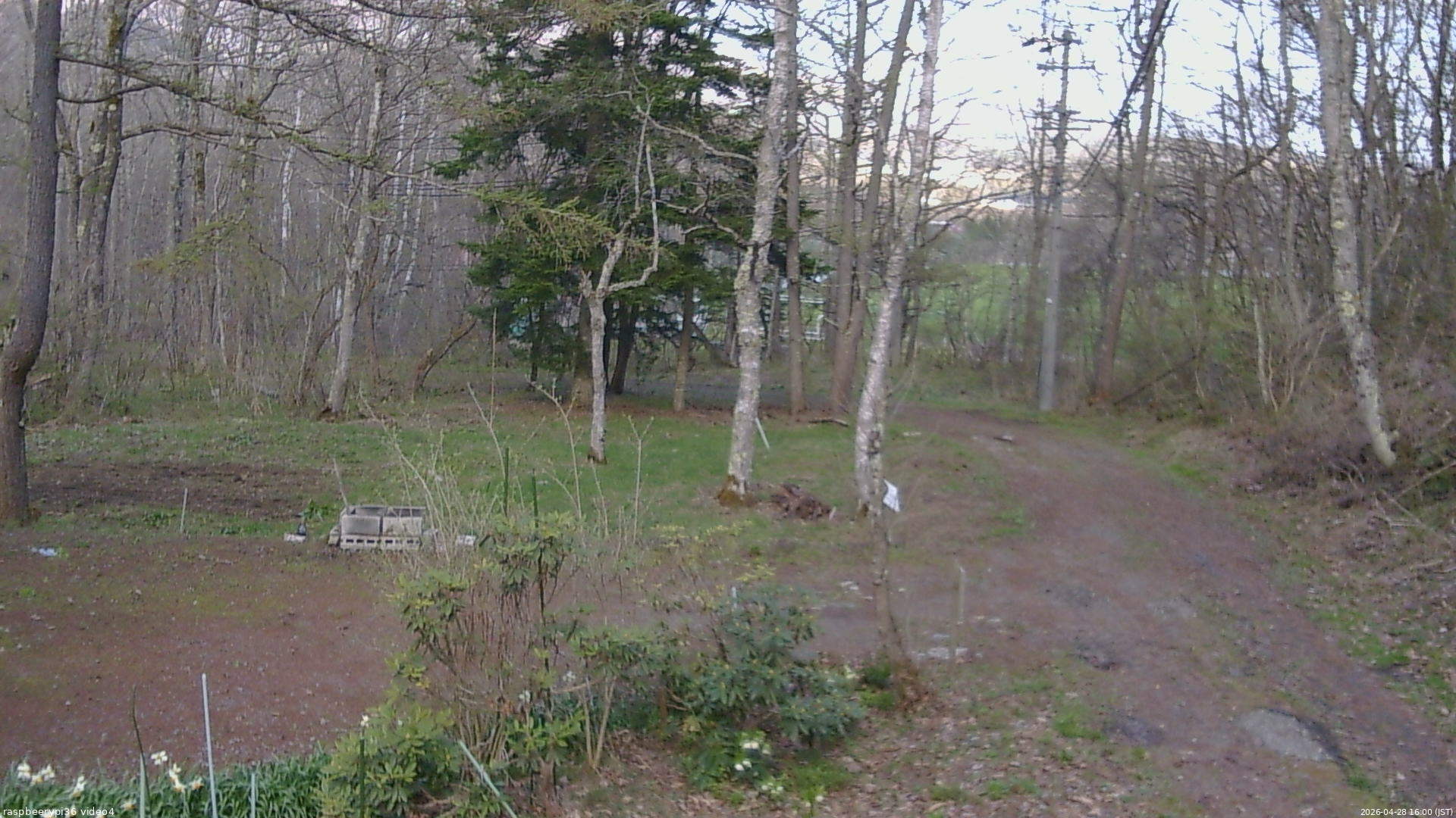 長野県菅平高原 ゆたか山荘 坂上 2026/04/28 16:00