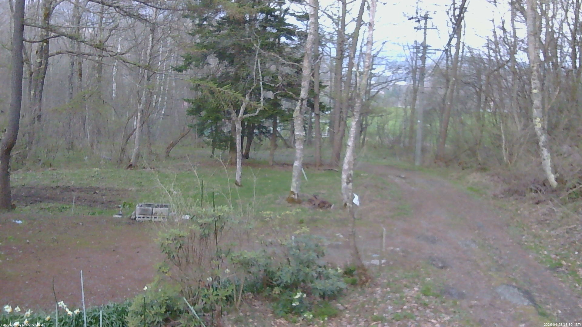 長野県菅平高原 ゆたか山荘 坂上 2026/04/28 18:30