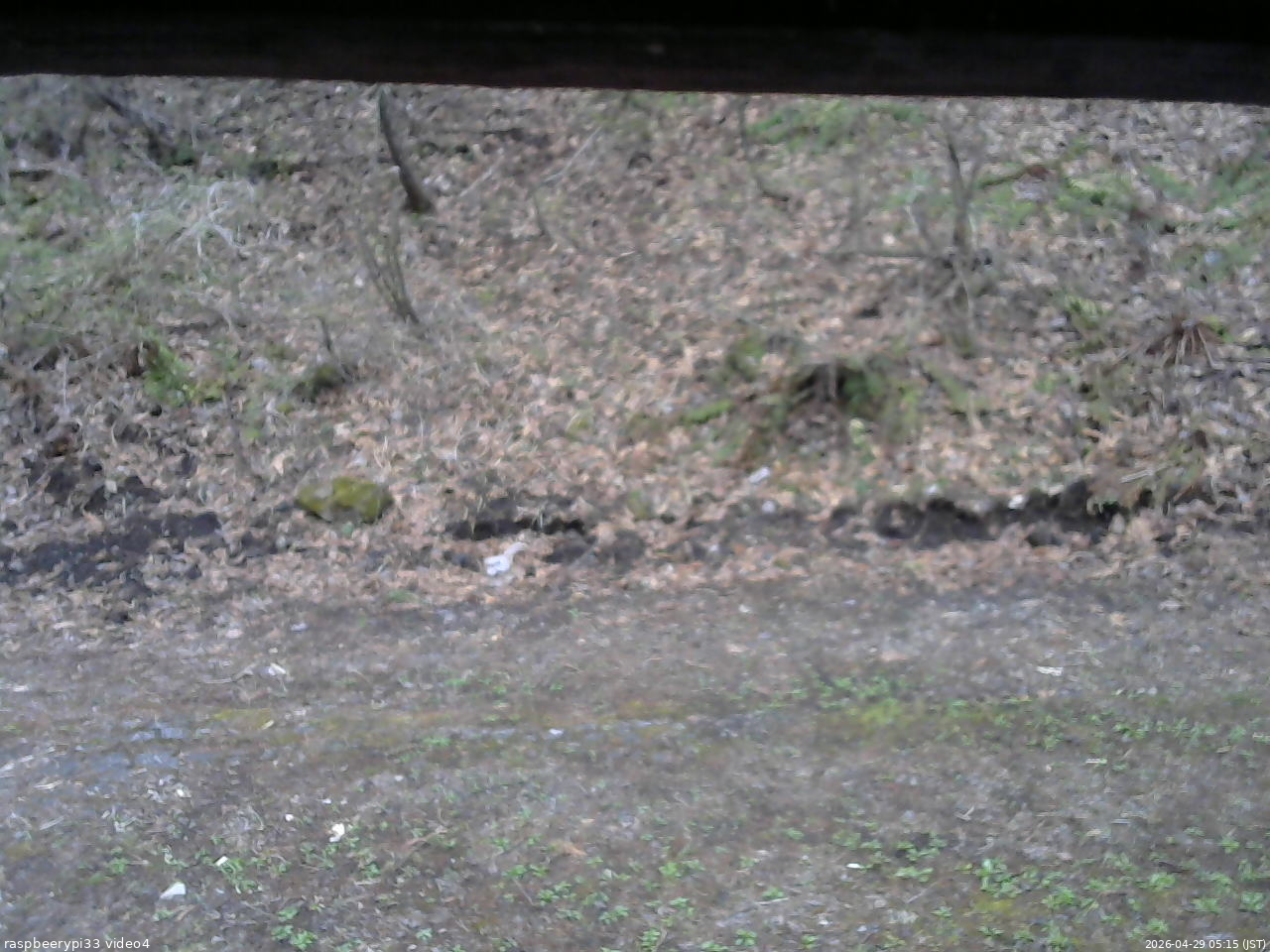 長野県菅平高原 ゆたか山荘 東側(坂下) 2026/04/29 05:15