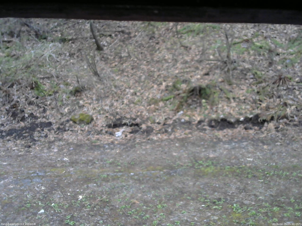長野県菅平高原 ゆたか山荘 東側(坂下) 2026/04/29 05:30