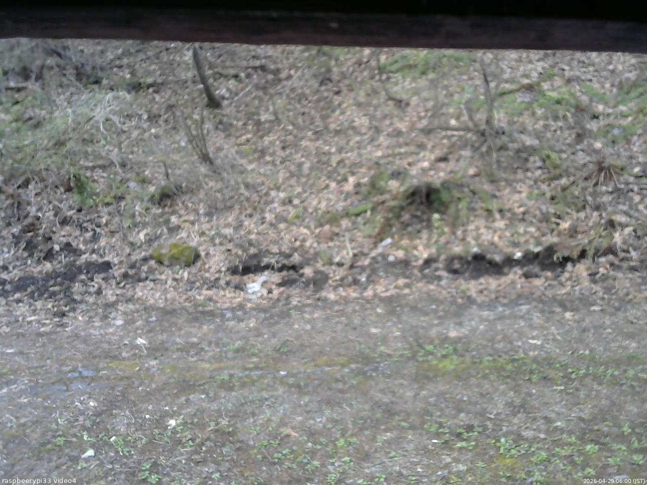 長野県菅平高原 ゆたか山荘 東側(坂下) 2026/04/29 06:00