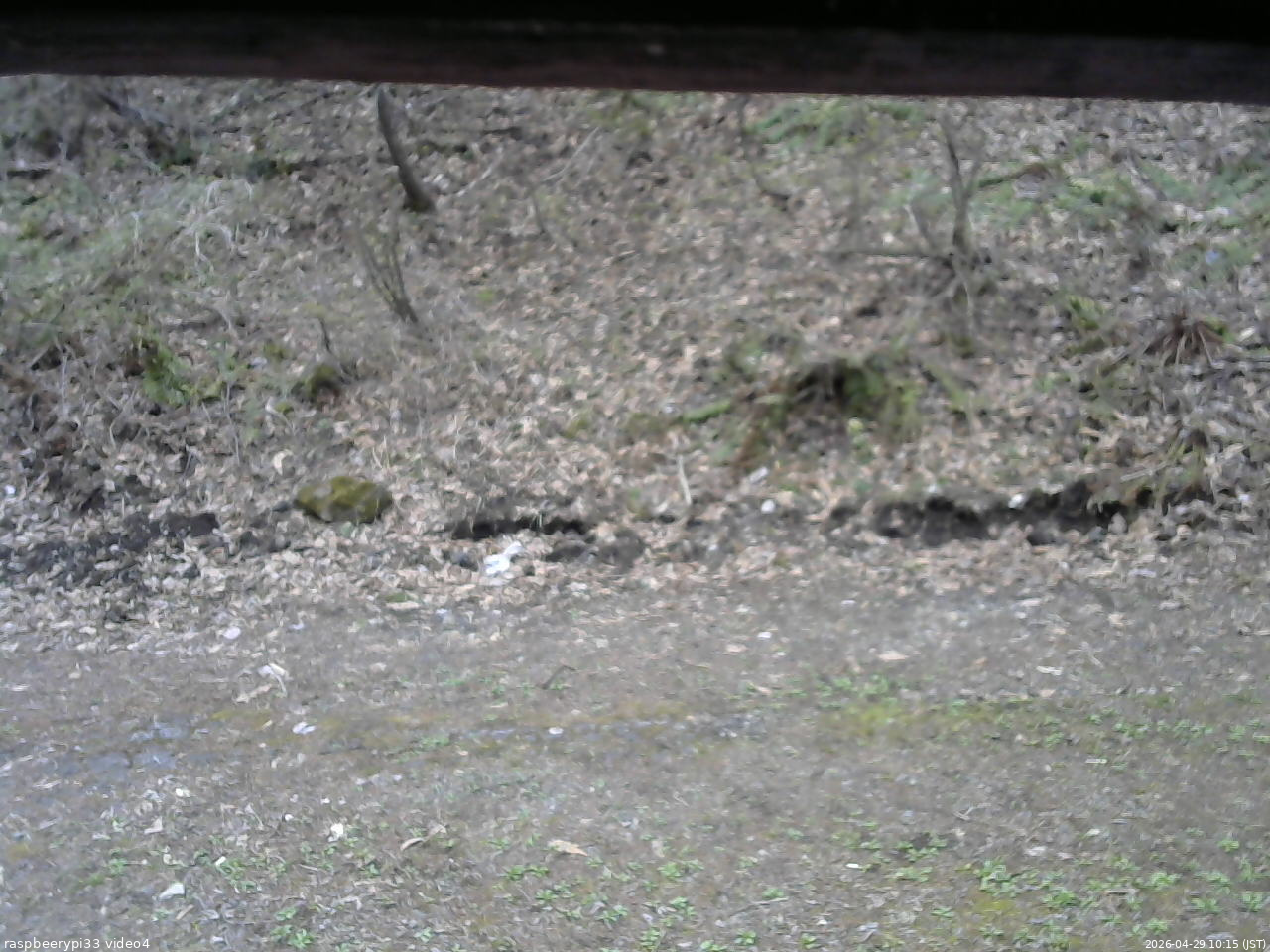 長野県菅平高原 ゆたか山荘 東側(坂下) 2026/04/29 10:15