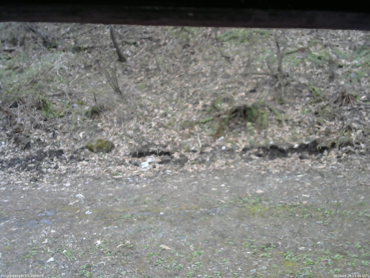 長野県菅平高原 ゆたか山荘 東側(坂下) 2026/04/29 13:30
