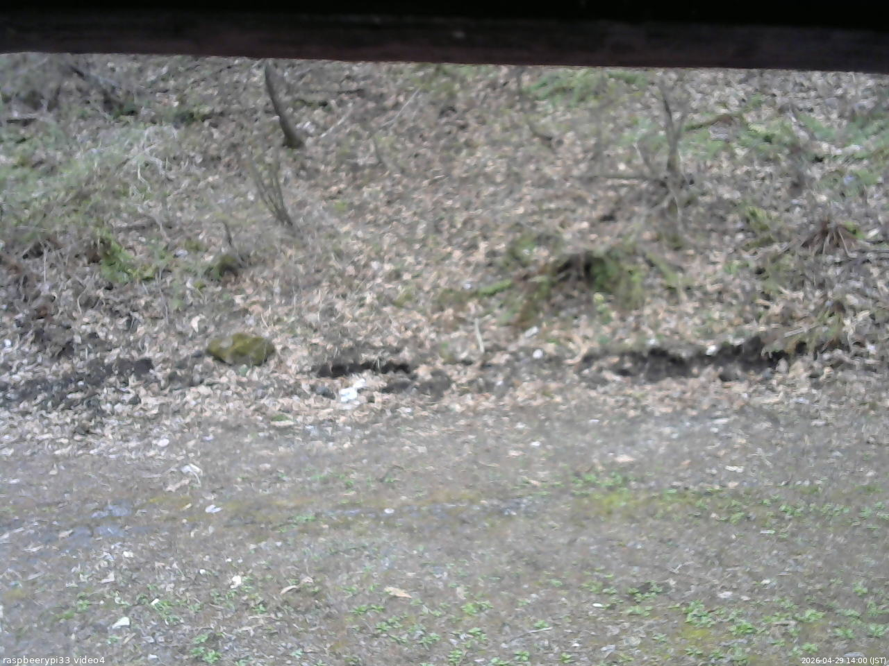 長野県菅平高原 ゆたか山荘 東側(坂下) 2026/04/29 14:00