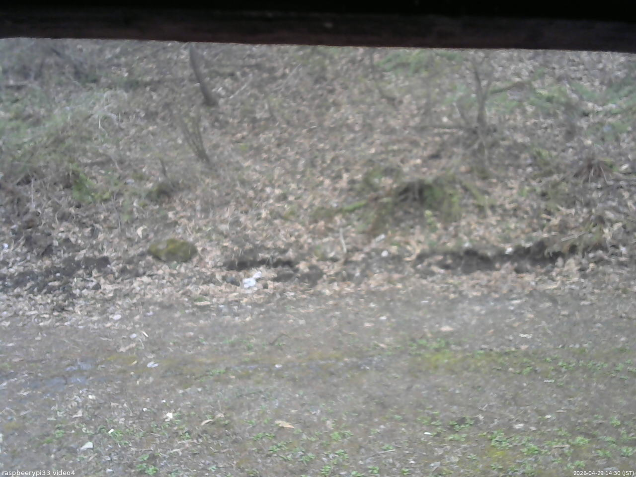 長野県菅平高原 ゆたか山荘 東側(坂下) 2026/04/29 14:30