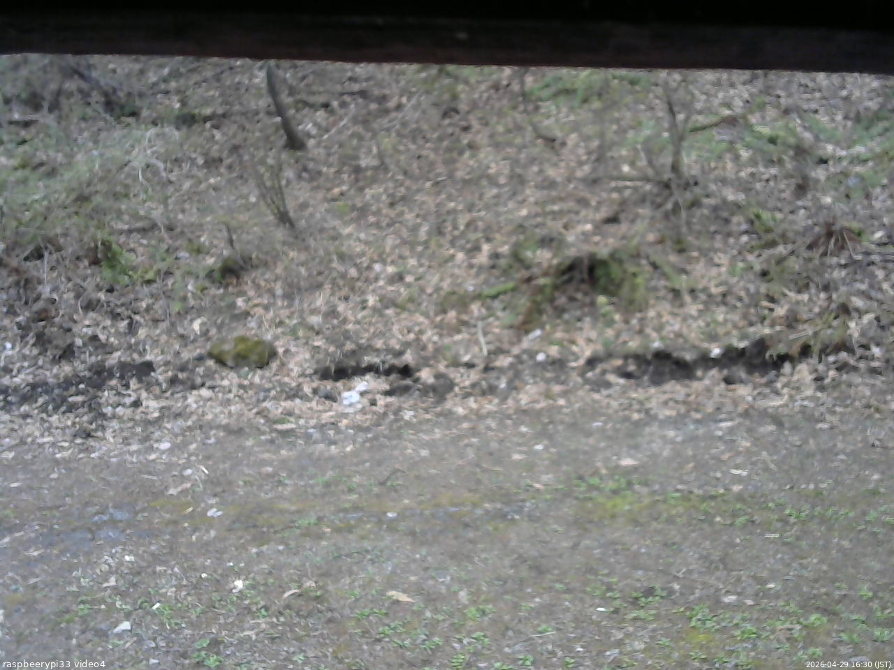 長野県菅平高原 ゆたか山荘 東側(坂下) 2026/04/29 16:30