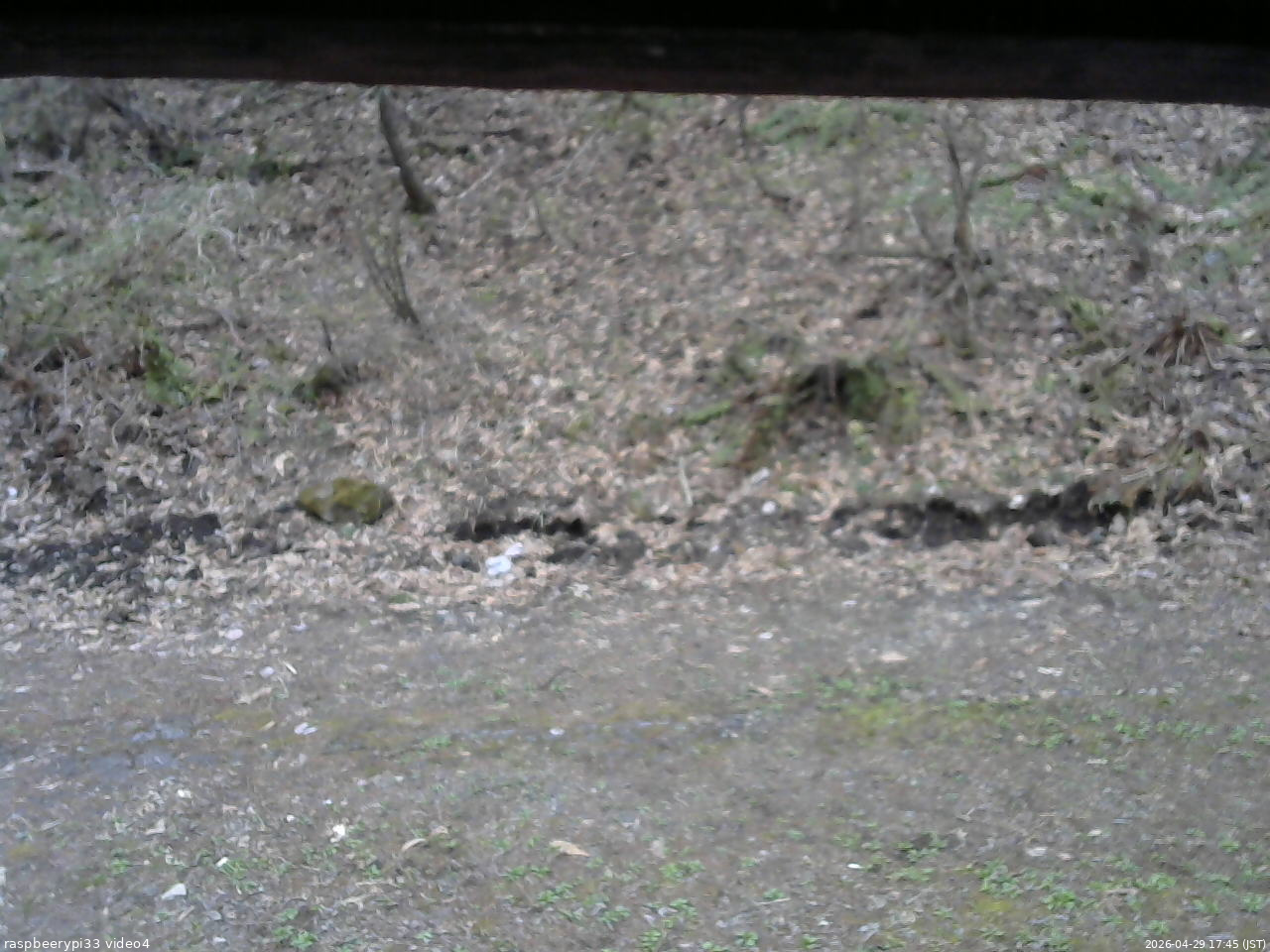 長野県菅平高原 ゆたか山荘 東側(坂下) 2026/04/29 17:45