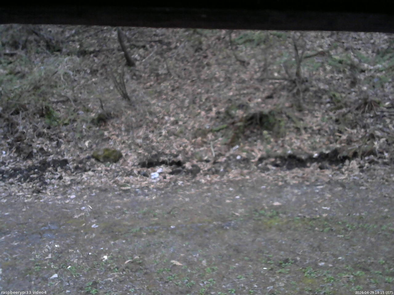 長野県菅平高原 ゆたか山荘 東側(坂下) 2026/04/29 18:15