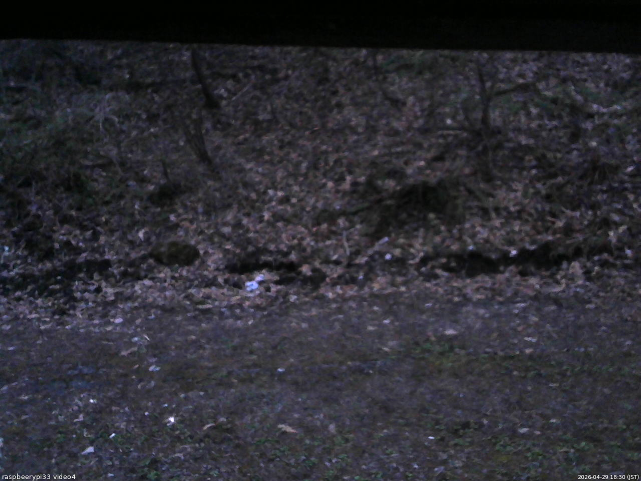 長野県菅平高原 ゆたか山荘 東側(坂下) 2026/04/29 18:30