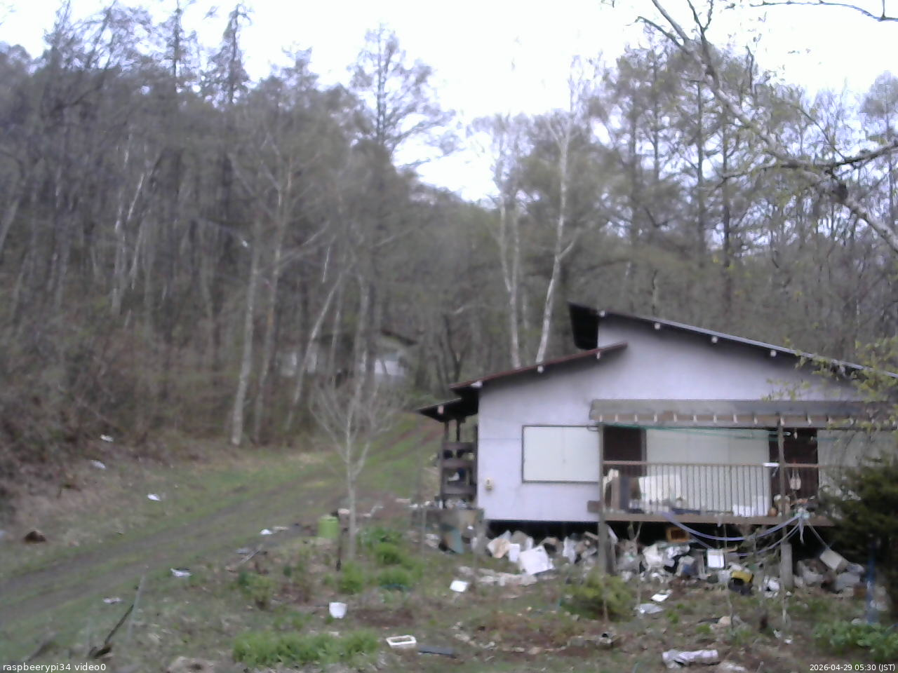長野県菅平高原 ゆたか山荘 西側(坂上) 2026/04/29 05:30