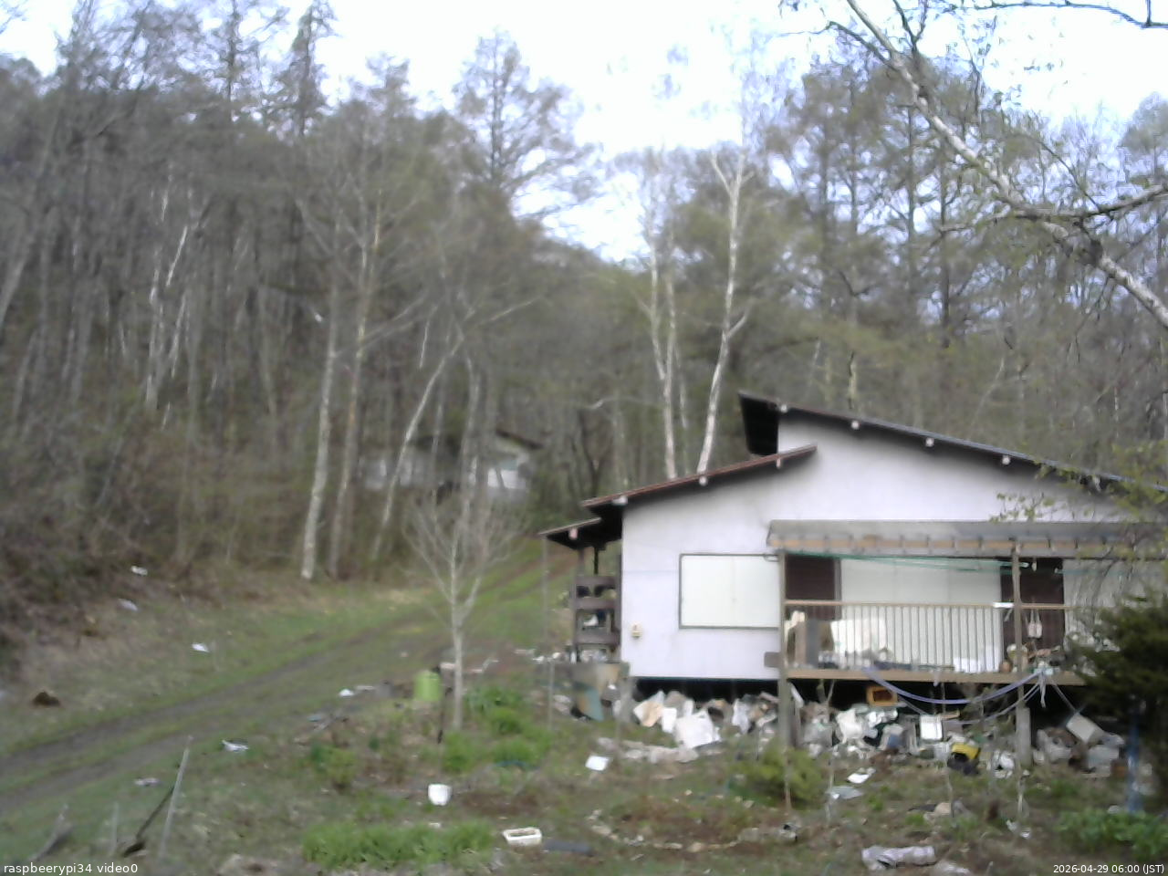長野県菅平高原 ゆたか山荘 西側(坂上) 2026/04/29 06:00