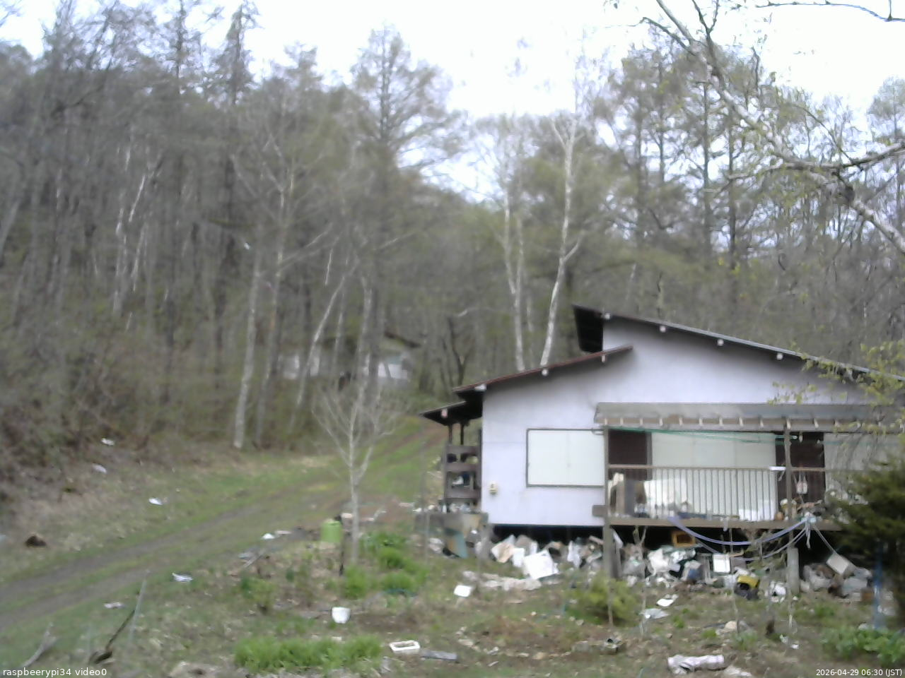 長野県菅平高原 ゆたか山荘 西側(坂上) 2026/04/29 06:30