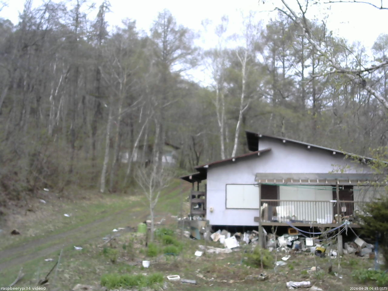 長野県菅平高原 ゆたか山荘 西側(坂上) 2026/04/29 06:45