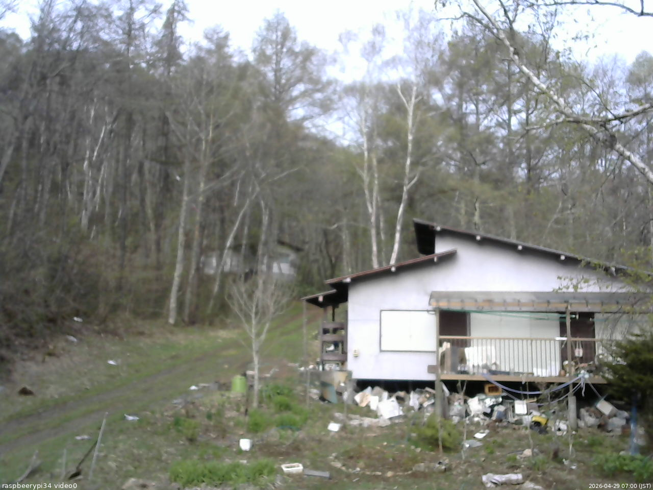 長野県菅平高原 ゆたか山荘 西側(坂上) 2026/04/29 07:00