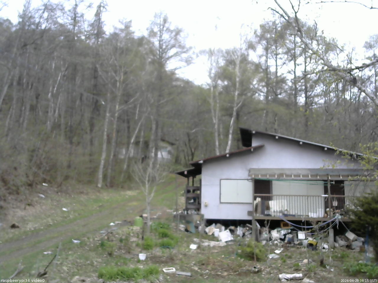 長野県菅平高原 ゆたか山荘 西側(坂上) 2026/04/29 08:15