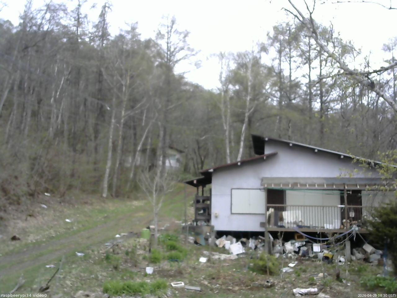 長野県菅平高原 ゆたか山荘 西側(坂上) 2026/04/29 08:30