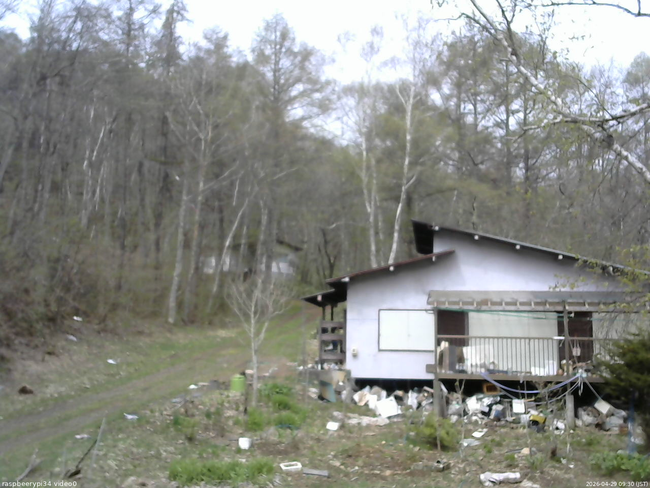 長野県菅平高原 ゆたか山荘 西側(坂上) 2026/04/29 09:30