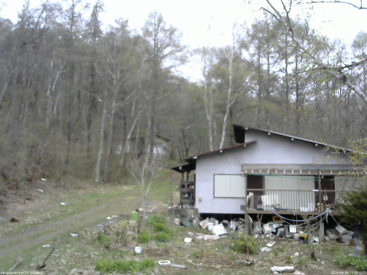 長野県菅平高原 ゆたか山荘 西側(坂上) 2026/04/29 11:30