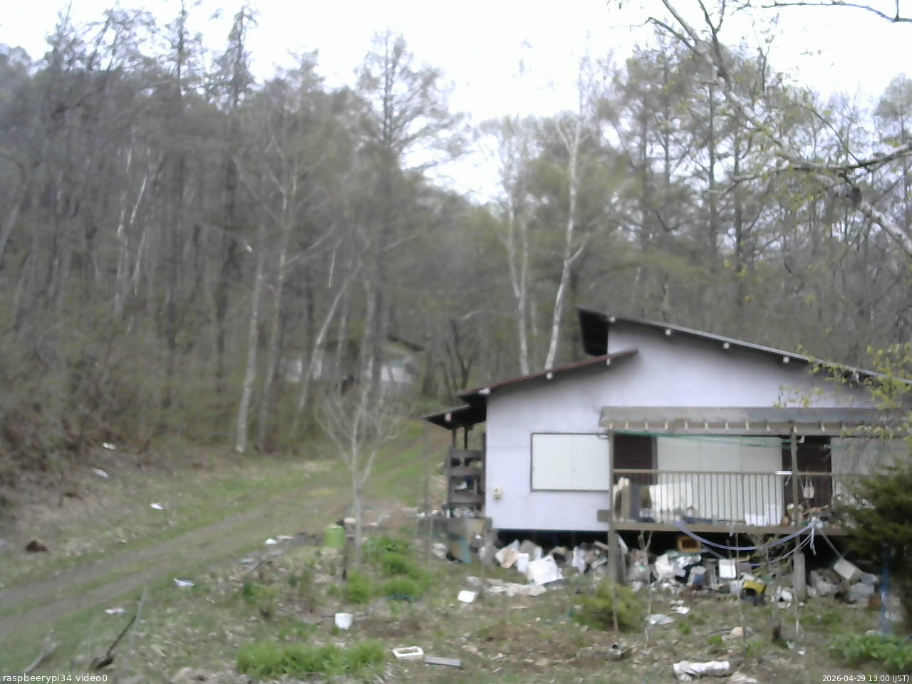 長野県菅平高原 ゆたか山荘 西側(坂上) 2026/04/29 13:00