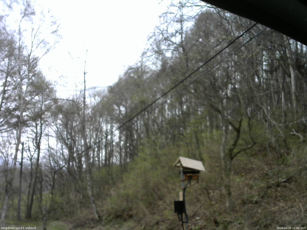 長野県菅平高原 ゆたか山荘 温度計 2026/04/29 11:45