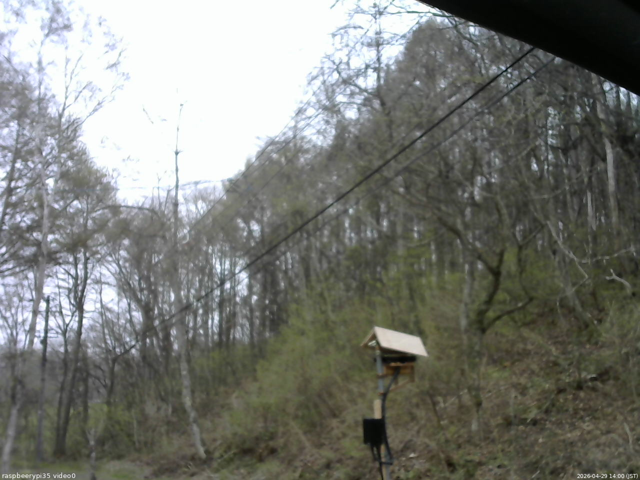 長野県菅平高原 ゆたか山荘 温度計 2026/04/29 14:00