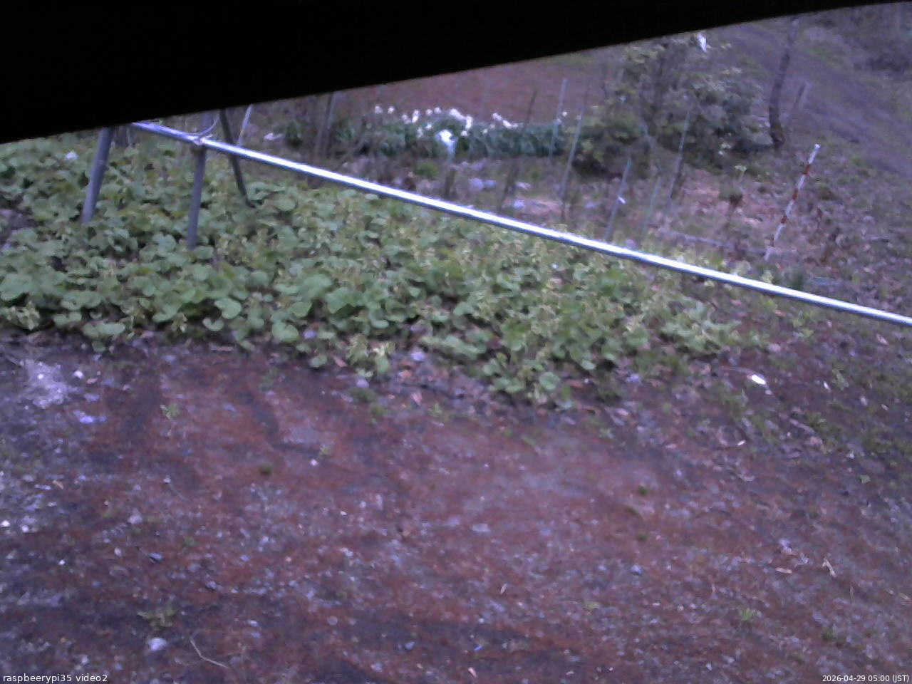 長野県菅平高原 ゆたか山荘 駐車場 2026/04/29 05:00