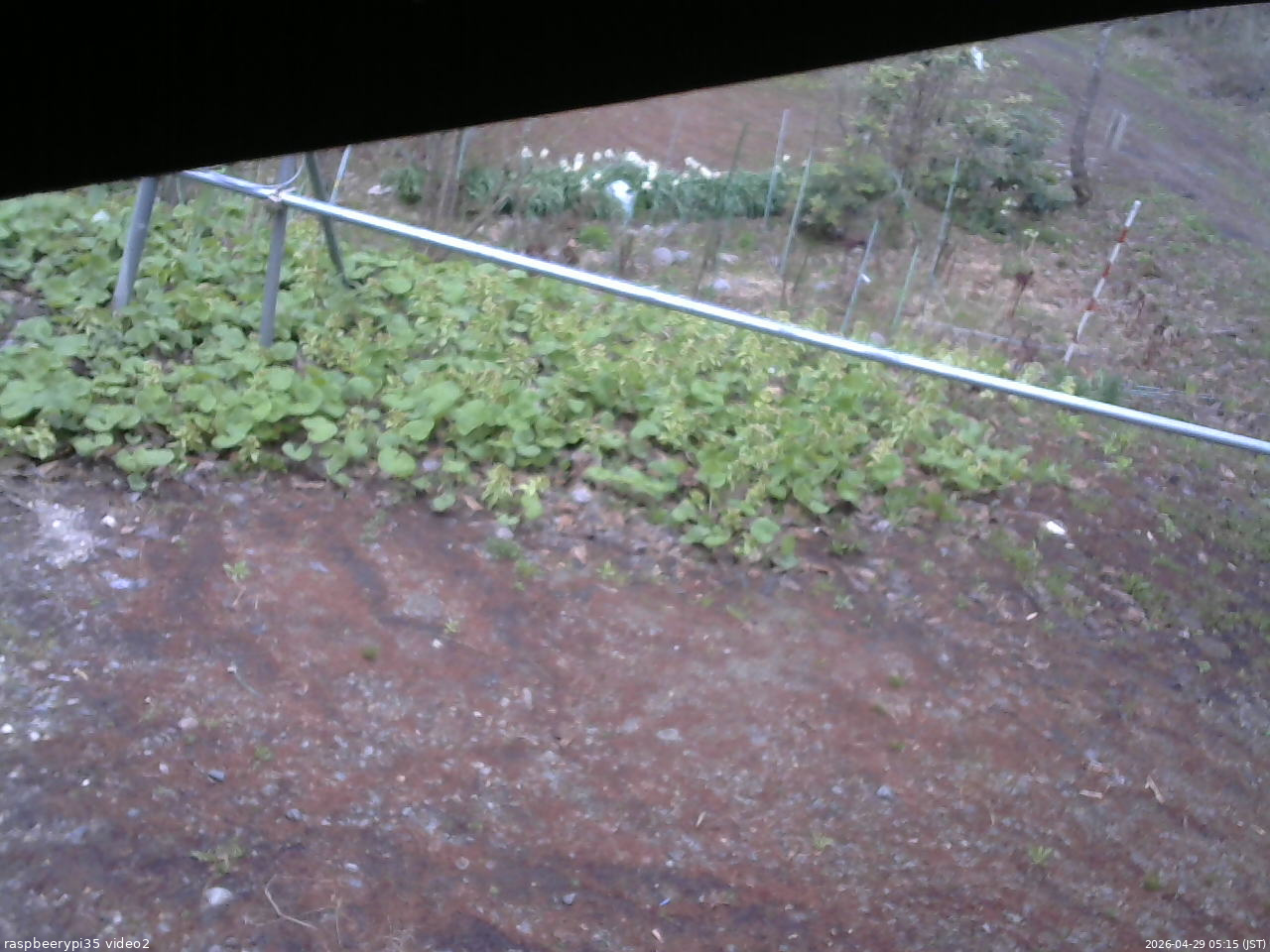 長野県菅平高原 ゆたか山荘 駐車場 2026/04/29 05:15