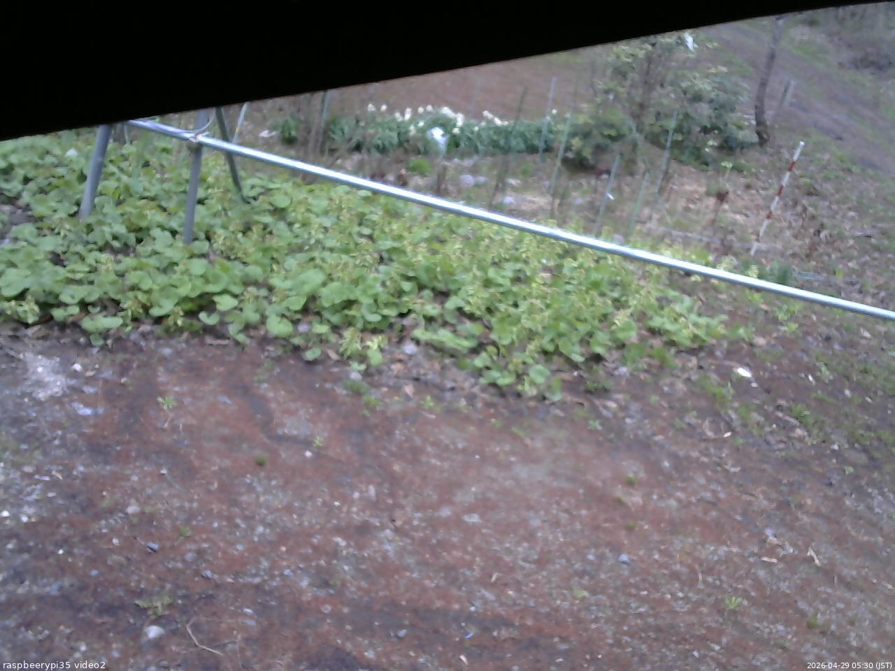 長野県菅平高原 ゆたか山荘 駐車場 2026/04/29 05:30