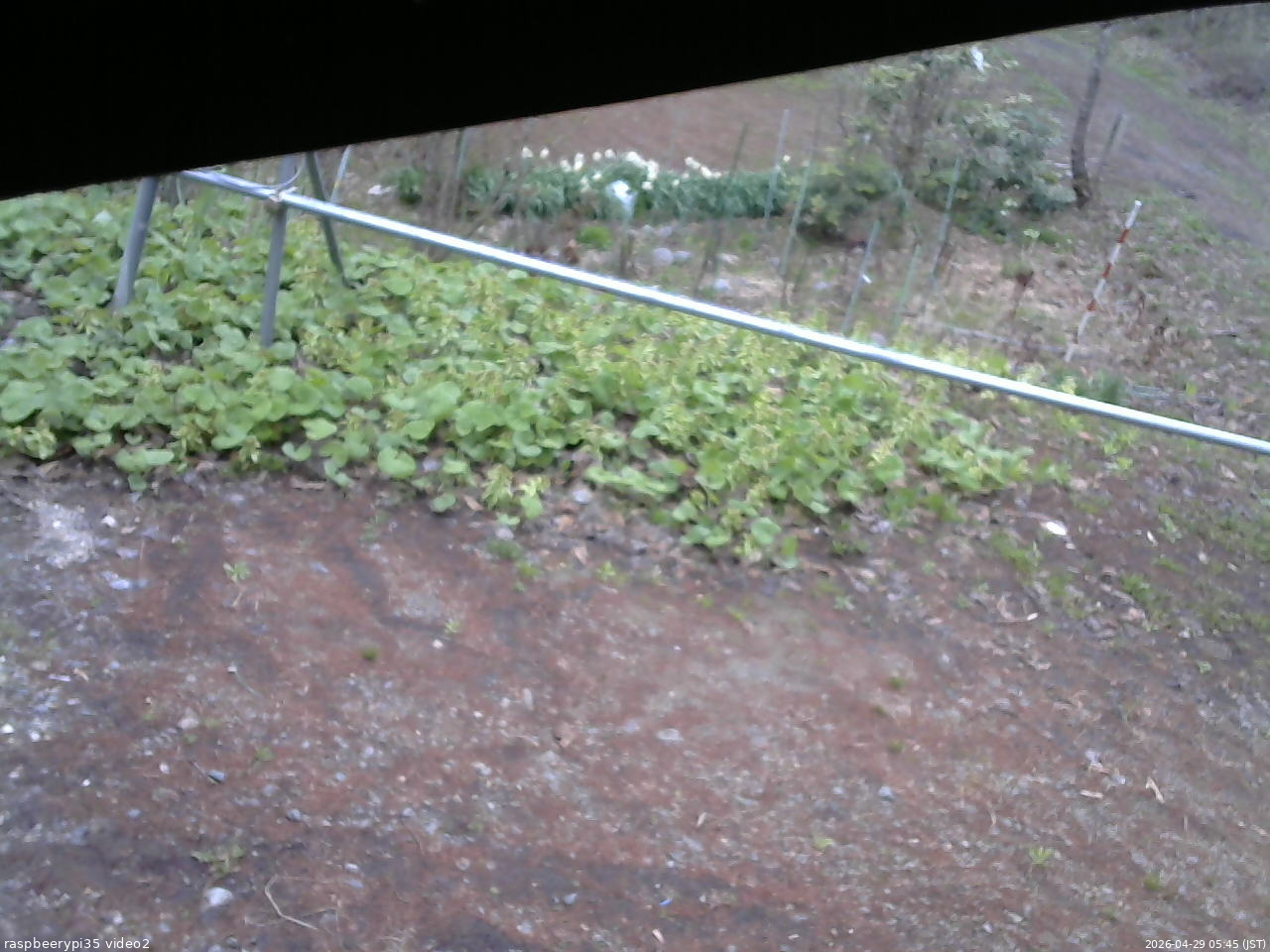 長野県菅平高原 ゆたか山荘 駐車場 2026/04/29 05:45