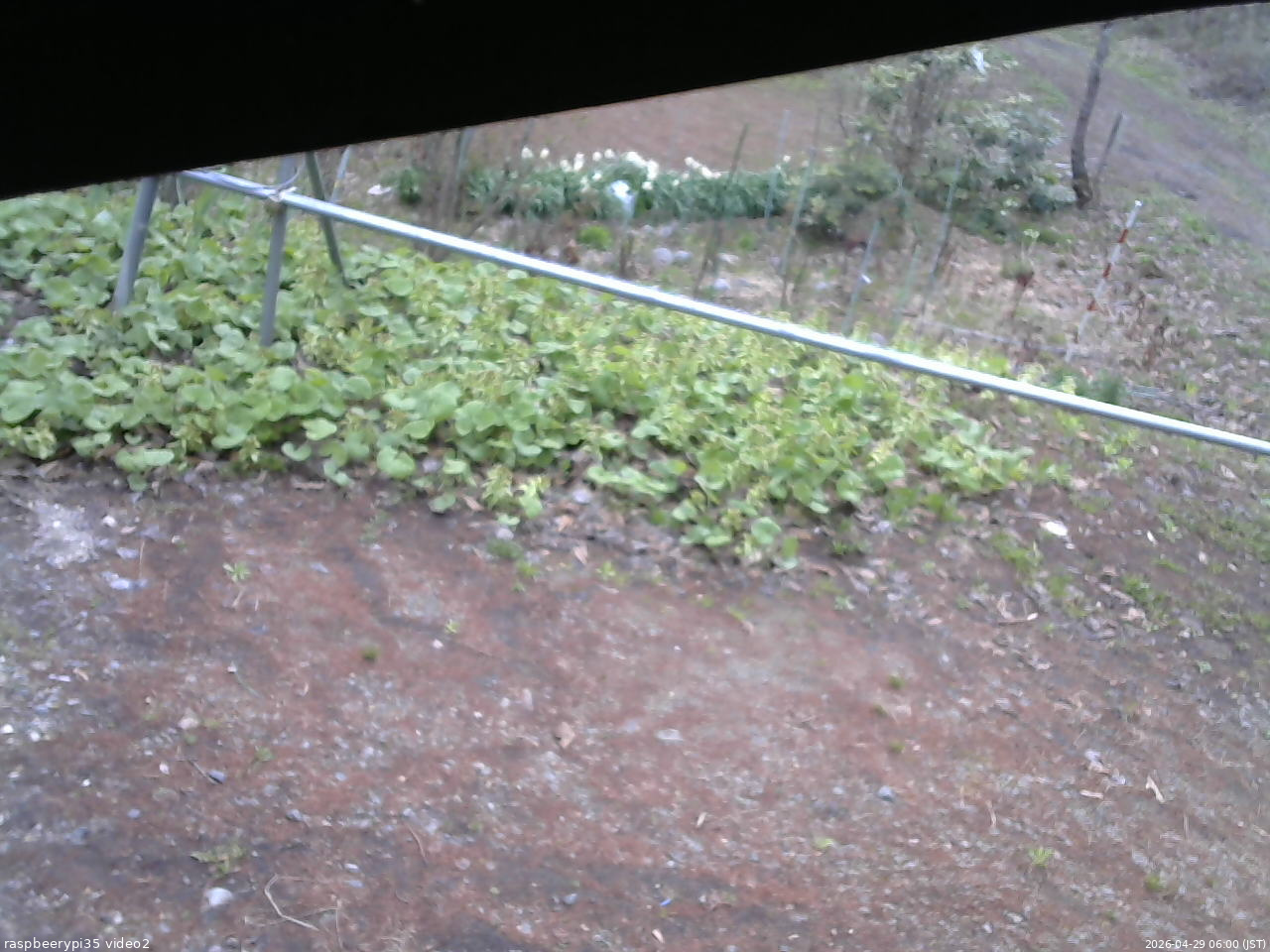 長野県菅平高原 ゆたか山荘 駐車場 2026/04/29 06:00