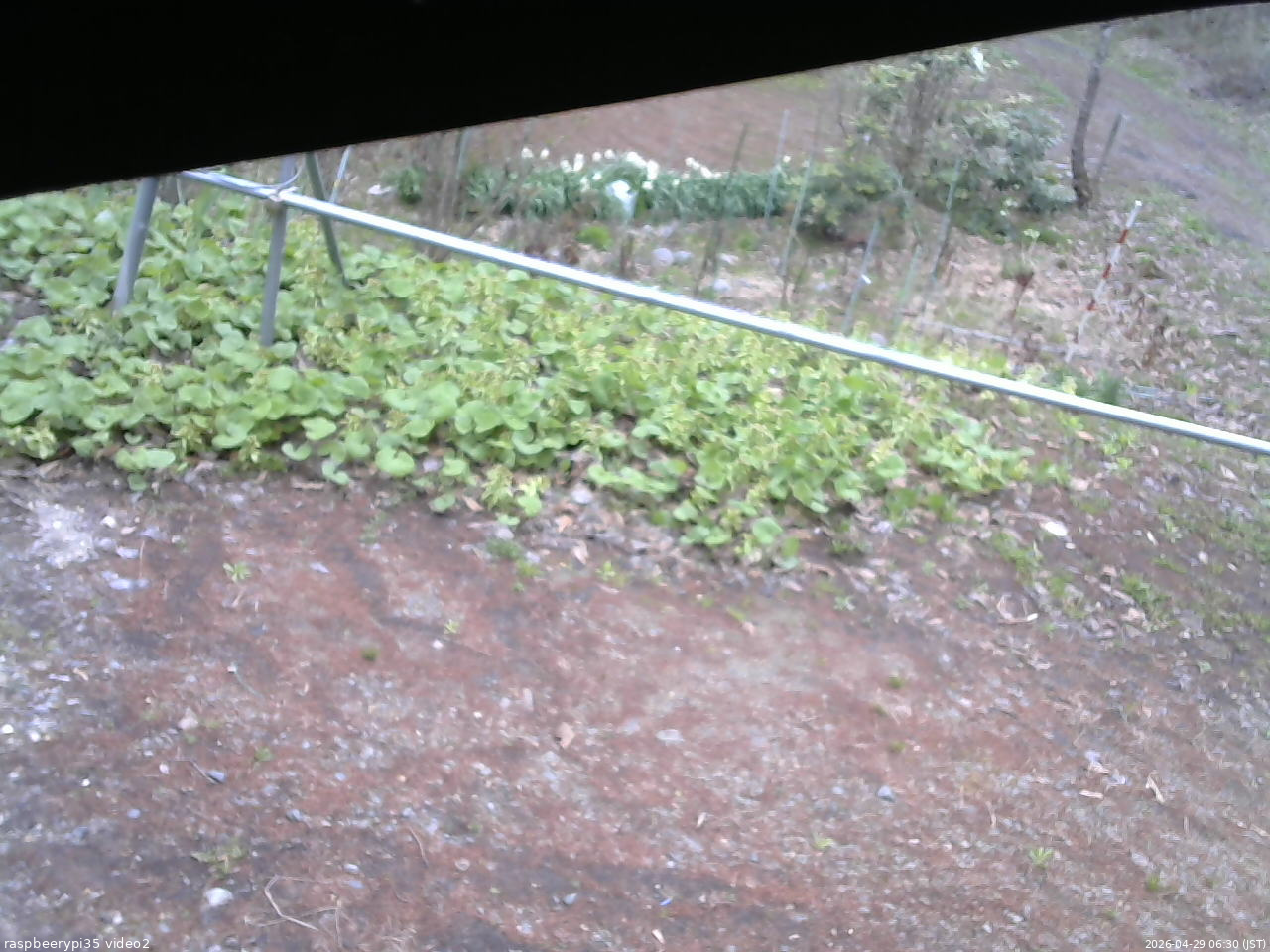 長野県菅平高原 ゆたか山荘 駐車場 2026/04/29 06:30