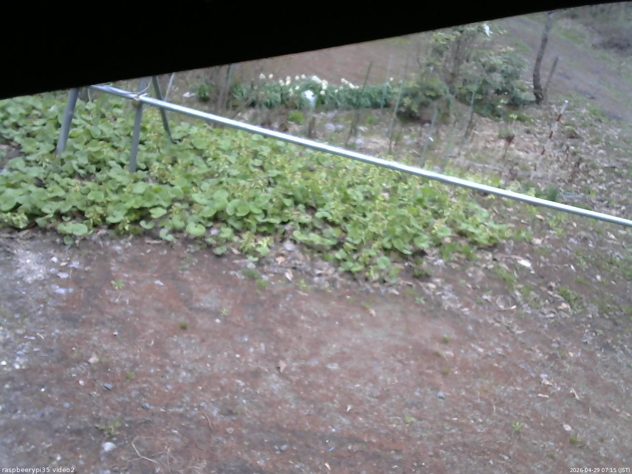 長野県菅平高原 ゆたか山荘 駐車場 2026/04/29 07:15