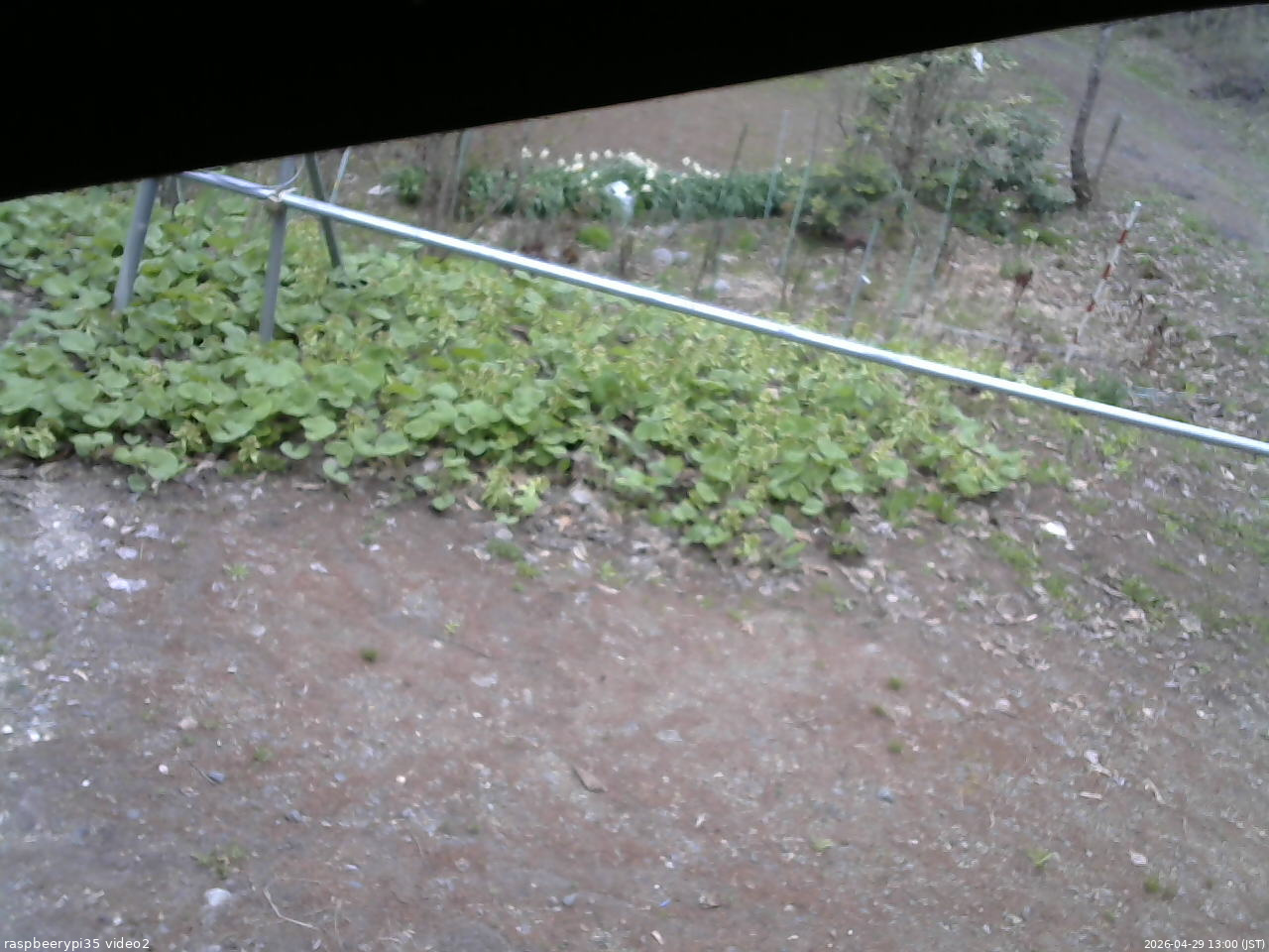 長野県菅平高原 ゆたか山荘 駐車場 2026/04/29 13:00