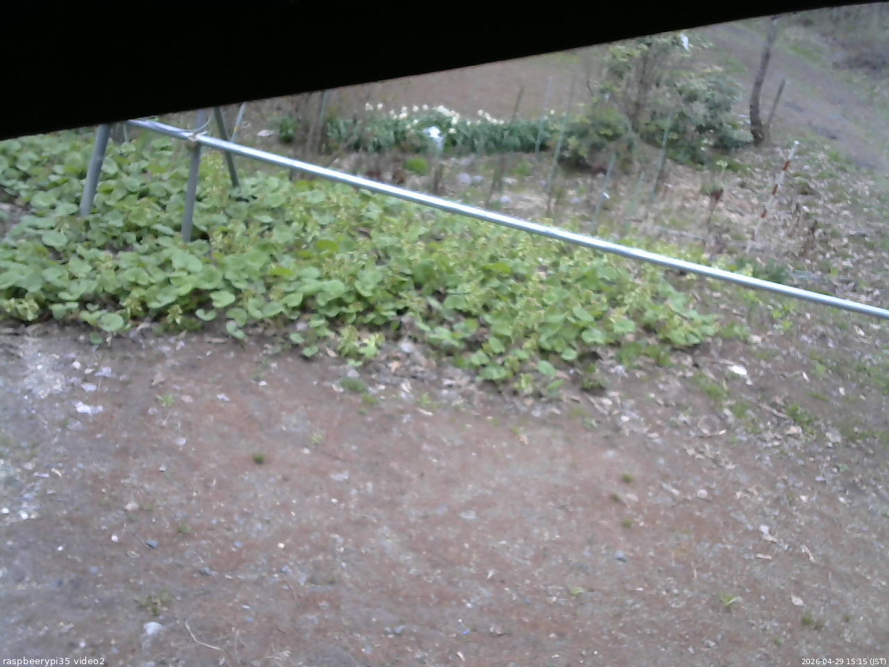 長野県菅平高原 ゆたか山荘 駐車場 2026/04/29 15:15
