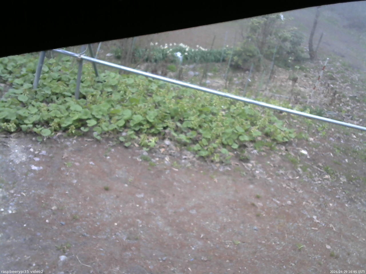 長野県菅平高原 ゆたか山荘 駐車場 2026/04/29 16:45