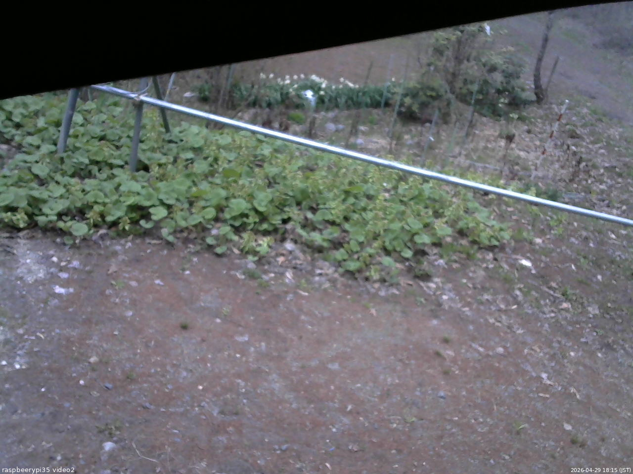 長野県菅平高原 ゆたか山荘 駐車場 2026/04/29 18:15