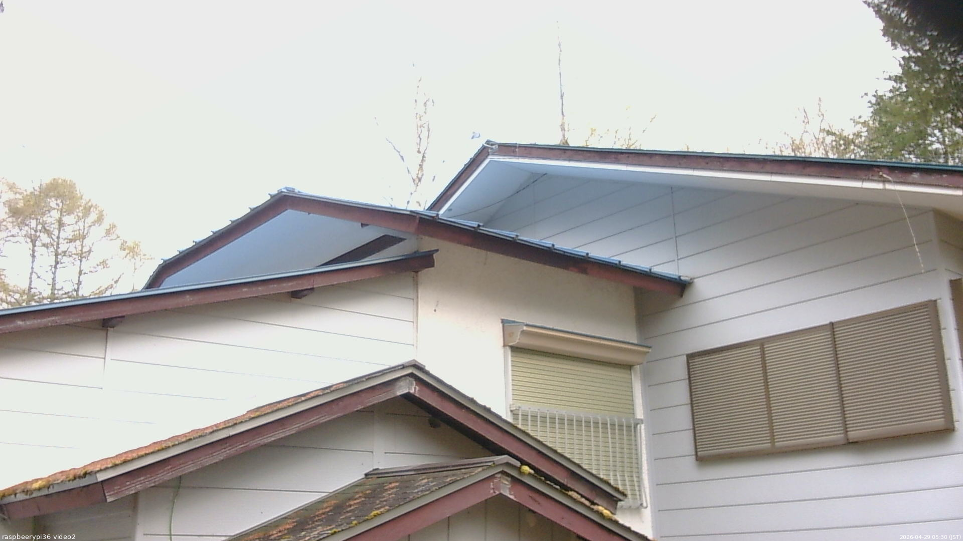 長野県菅平高原 ゆたか山荘 駐車場奥 2026/04/29 05:30