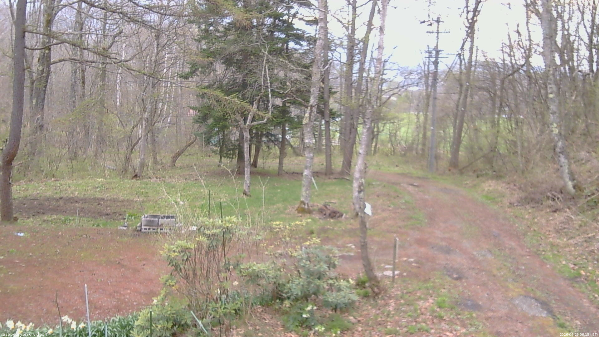 長野県菅平高原 ゆたか山荘 坂上 2026/04/29 06:15