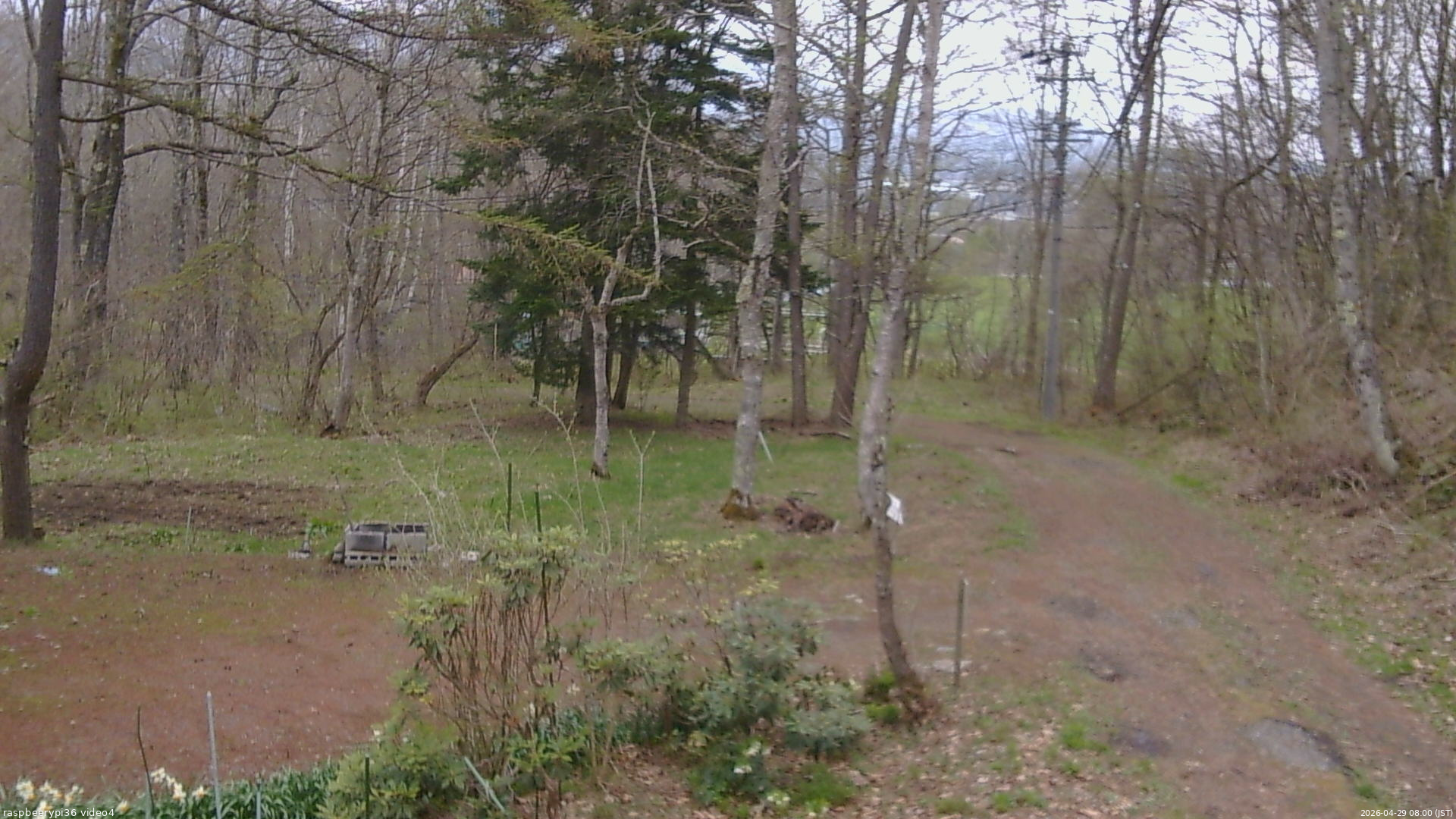 長野県菅平高原 ゆたか山荘 坂上 2026/04/29 08:00