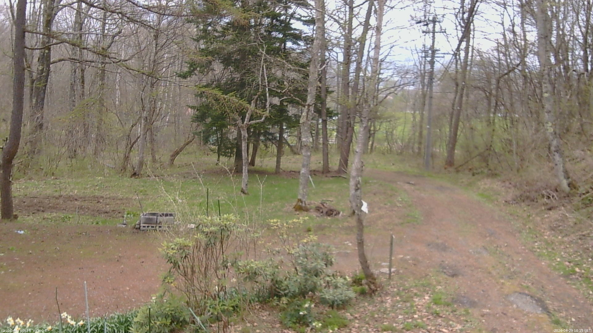 長野県菅平高原 ゆたか山荘 坂上 2026/04/29 10:15