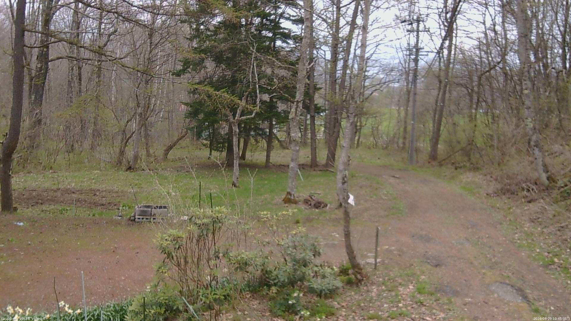 長野県菅平高原 ゆたか山荘 坂上 2026/04/29 10:45