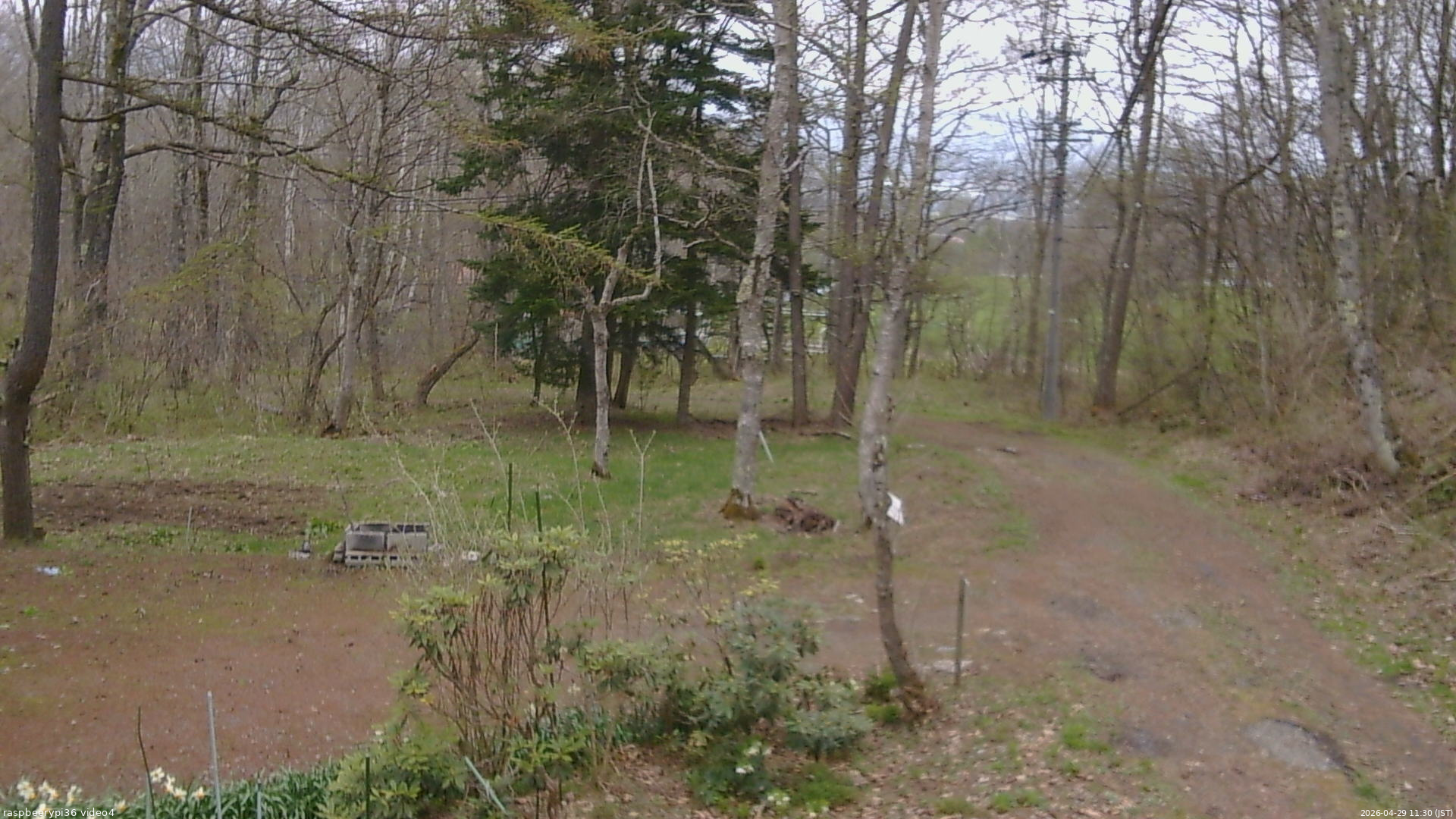 長野県菅平高原 ゆたか山荘 坂上 2026/04/29 11:30