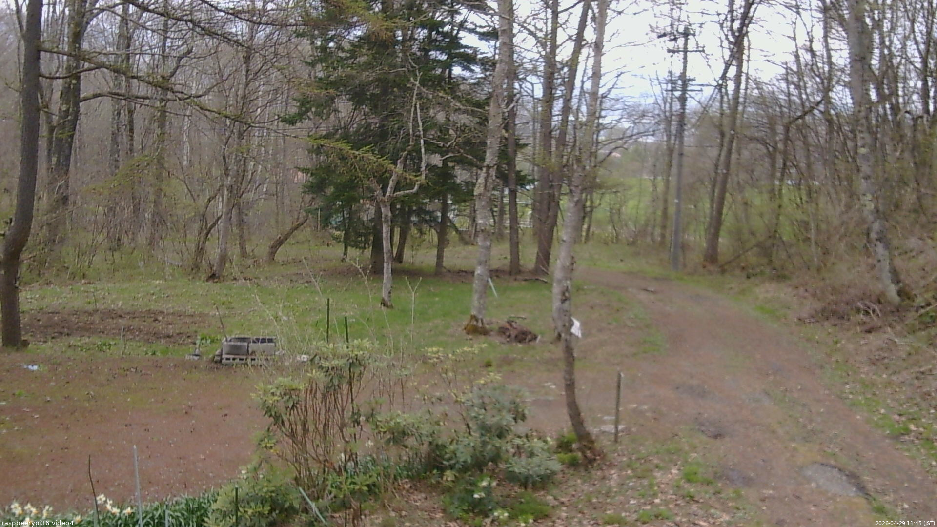 長野県菅平高原 ゆたか山荘 坂上 2026/04/29 11:45