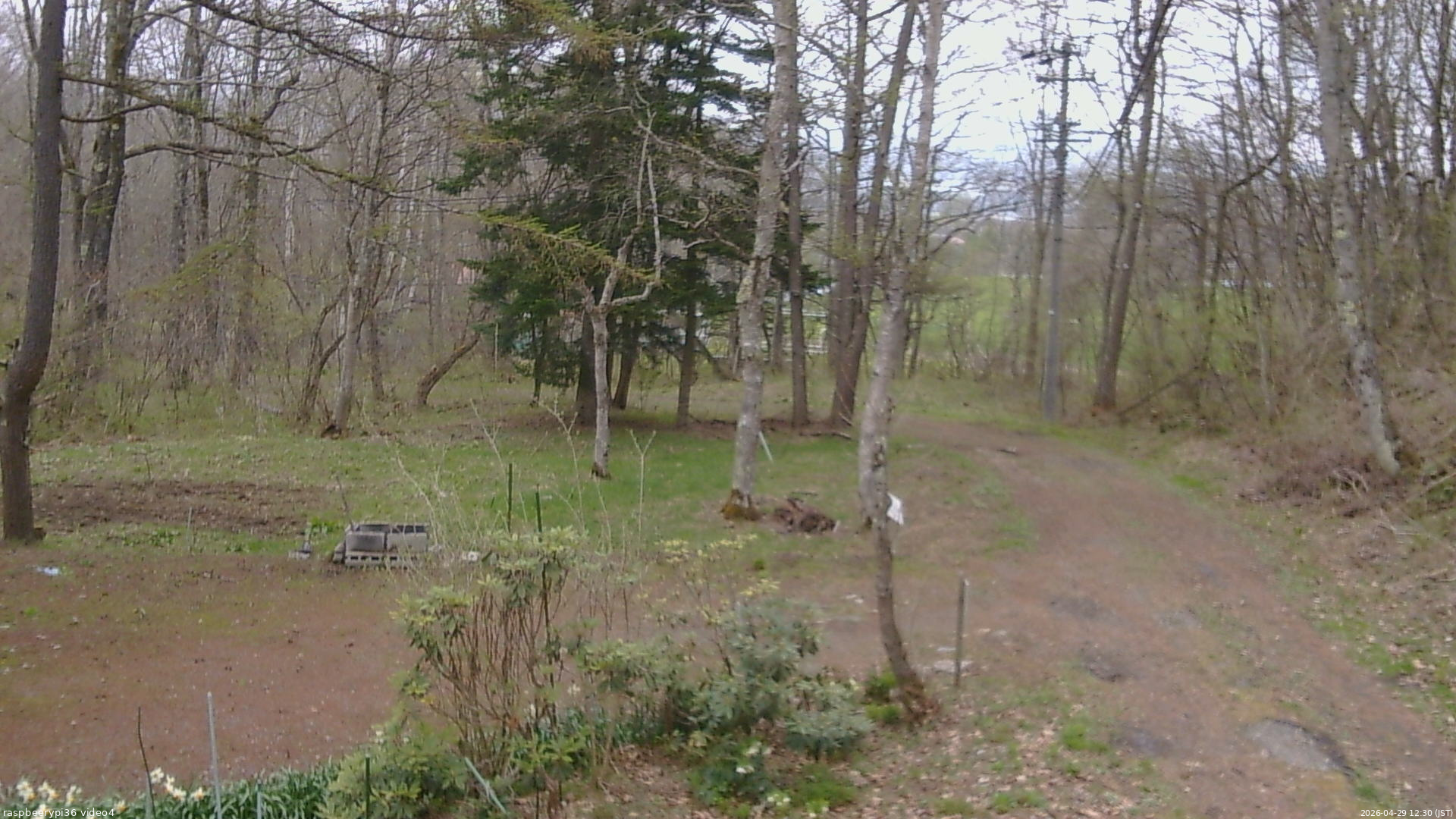長野県菅平高原 ゆたか山荘 坂上 2026/04/29 12:30